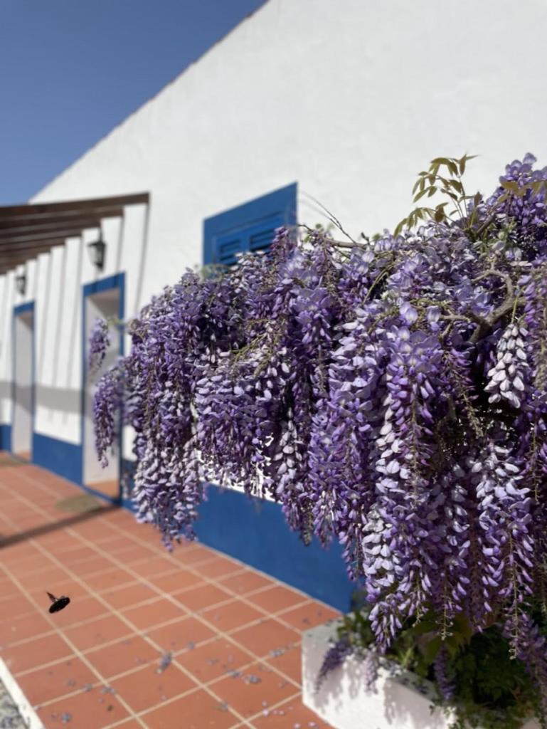 Montes De Charme Bed & Breakfast Aviz Bagian luar foto